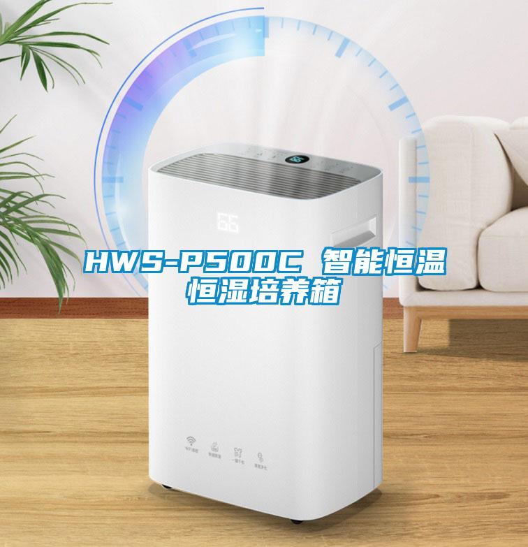 HWS-P500C 智能恒温恒湿培养箱