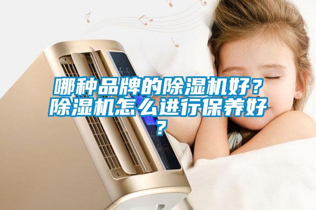 哪种品牌的除湿机好？除湿机怎么进行保养好？