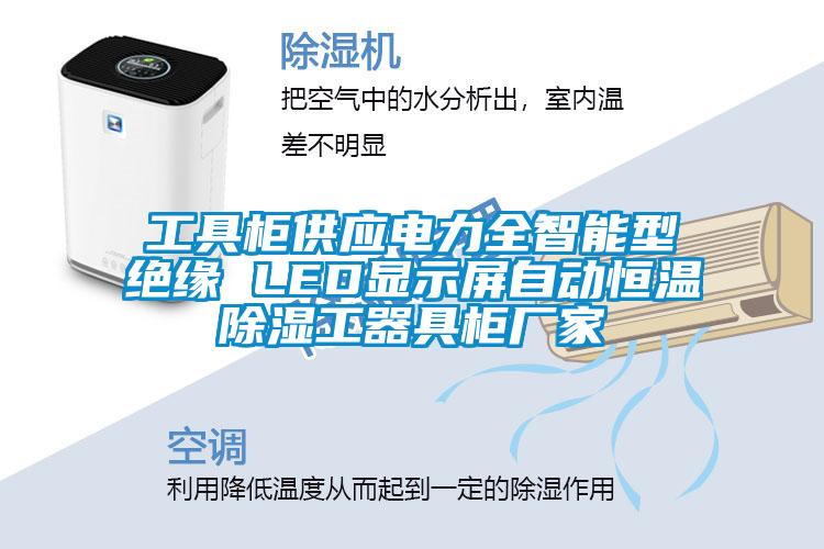 工具柜供应电力全智能型绝缘 LED显示屏自动恒温除湿工器具柜厂家