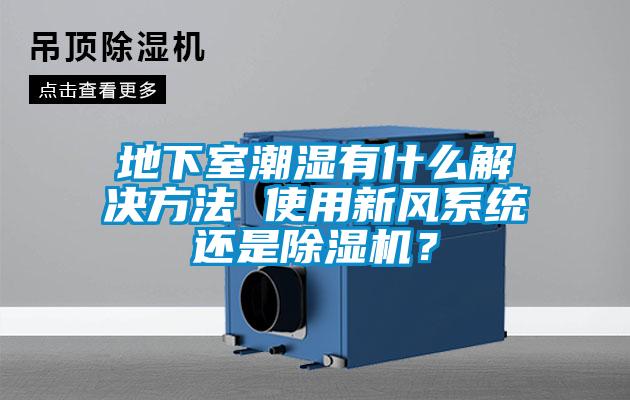 地下室潮湿有什么解决方法 使用新风系统还是除湿机？