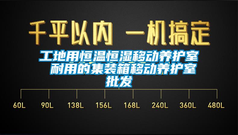 工地用恒温恒湿移动养护室 耐用的集装箱移动养护室批发