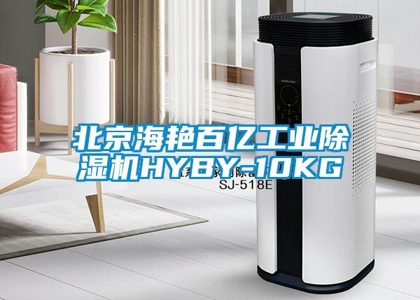 北京海艳百亿工业除湿机HYBY-10KG