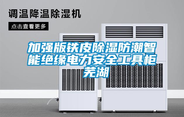 加强版铁皮除湿防潮智能绝缘电力安全工具柜 芜湖