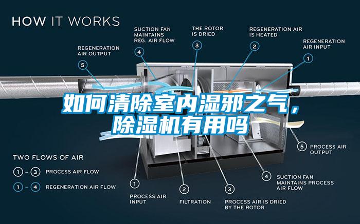 如何清除室内湿邪之气，除湿机有用吗