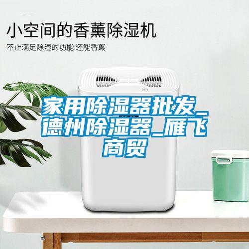 家用除湿器批发_德州除湿器_雁飞商贸