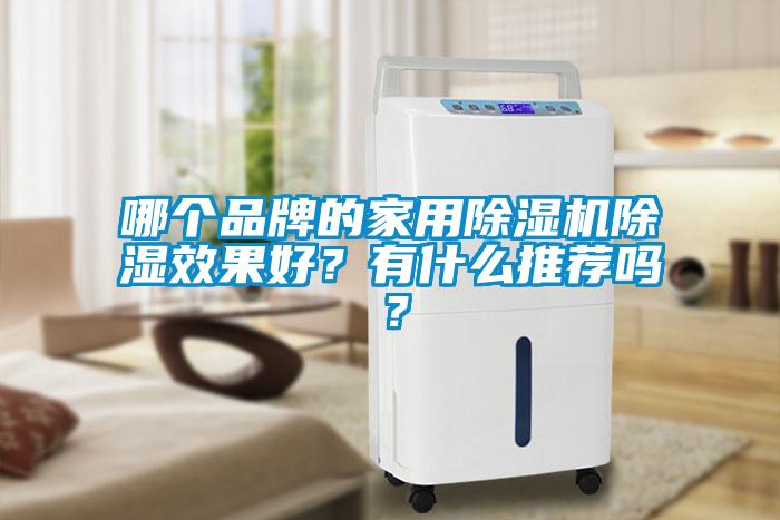 哪个品牌的家用除湿机除湿效果好？有什么推荐吗？