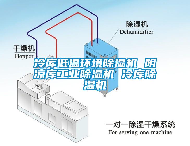 冷库低温环境除湿机 阴凉库工业除湿机 冷库除湿机