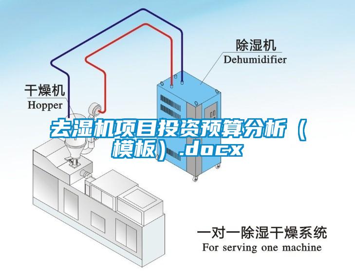 去湿机项目投资预算分析（模板）.docx