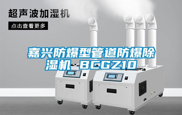 嘉兴防爆型管道防爆除湿机 BCGZ10