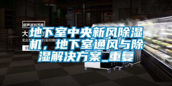 地下室中央新风除湿机，地下室通风与除湿解决方案_重复
