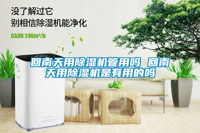 回南天用除湿机管用吗 回南天用除湿机是有用的吗