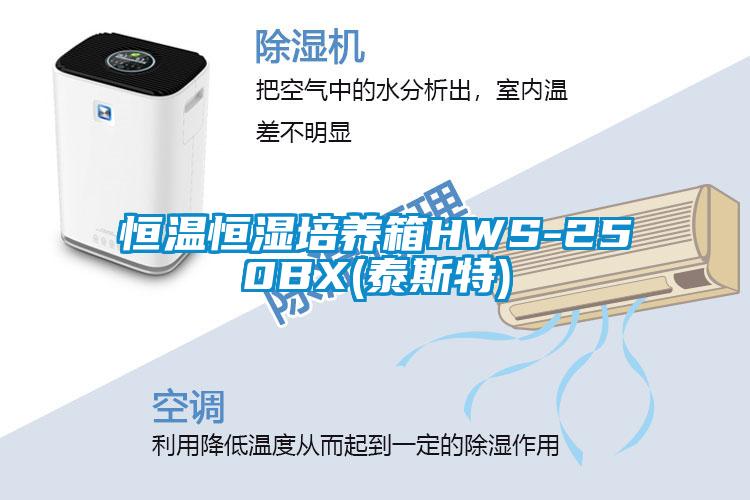 恒温恒湿培养箱HWS-250BX(泰斯特)