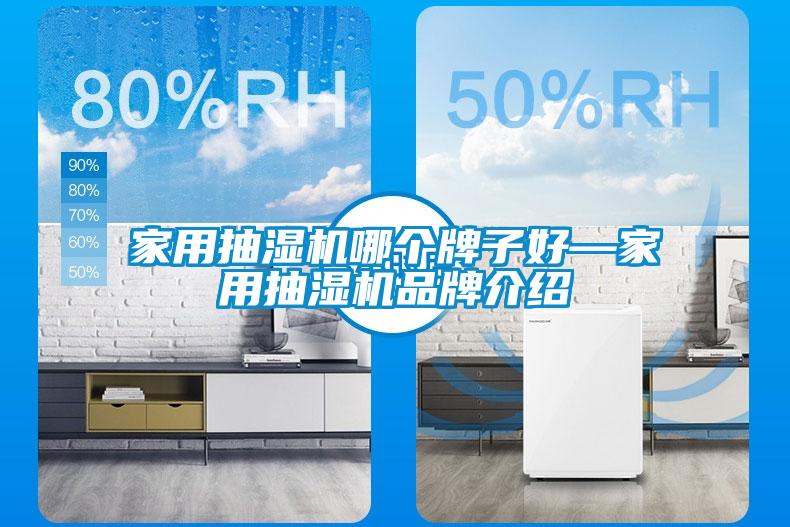 家用抽湿机哪个牌子好—家用抽湿机品牌介绍