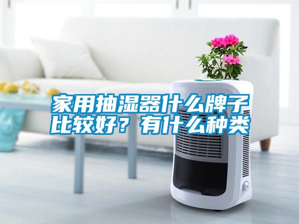 家用抽湿器什么牌子比较好？有什么种类