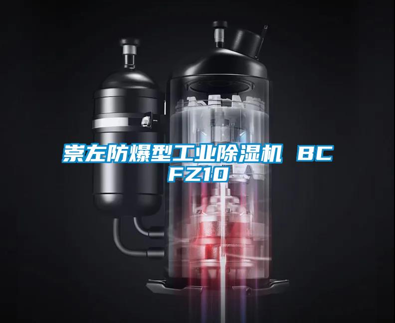 崇左防爆型工业除湿机 BCFZ10