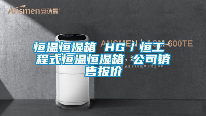 恒温恒湿箱 HG／恒工 程式恒温恒湿箱 公司销售报价