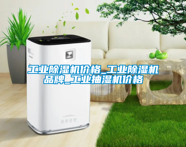 工业除湿机价格_工业除湿机品牌_工业抽湿机价格