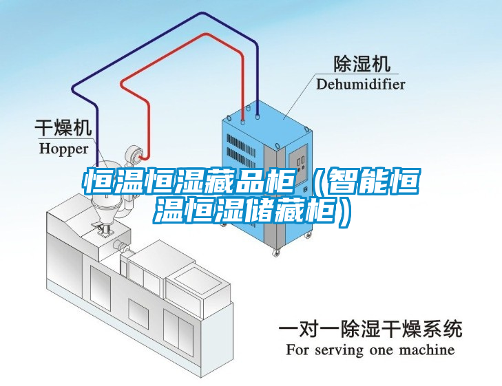 恒温恒湿藏品柜（智能恒温恒湿储藏柜）