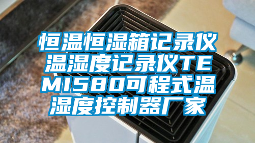 恒温恒湿箱记录仪温湿度记录仪TEMI580可程式温湿度控制器厂家