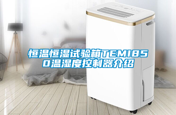 恒温恒湿试验箱TEMI850温湿度控制器介绍