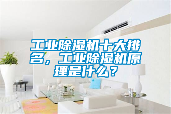 工业除湿机十大排名，工业除湿机原理是什么？