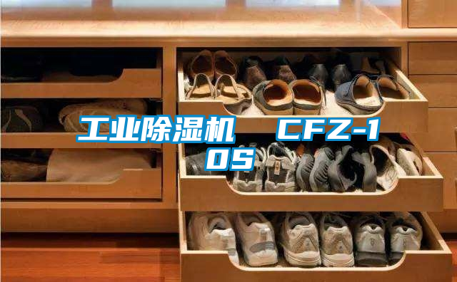 工业除湿机  CFZ-10S