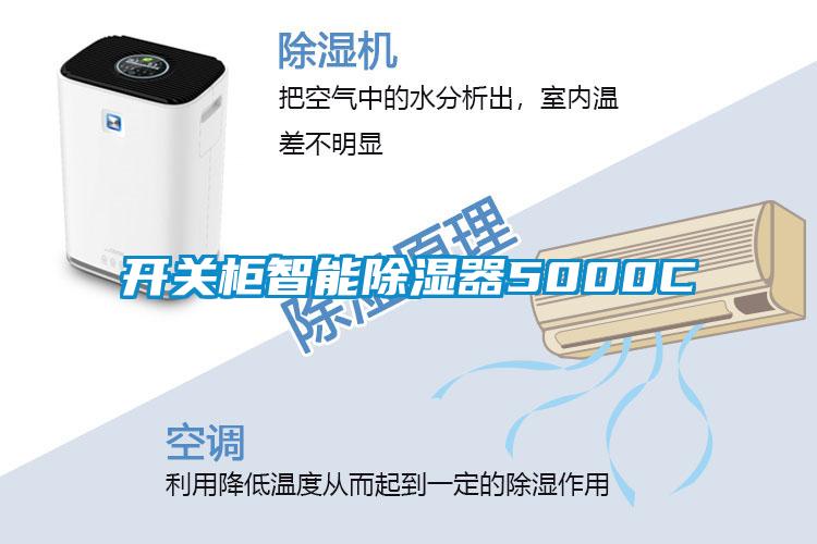 开关柜智能除湿器5000C