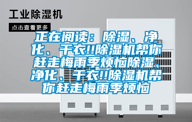 正在阅读：除湿、净化、干衣!!除湿机帮你赶走梅雨季烦恼除湿、净化、干衣!!除湿机帮你赶走梅雨季烦恼