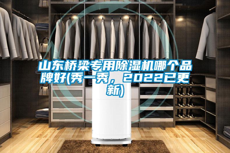 山东桥梁专用除湿机哪个品牌好(秀一秀，2022已更新)