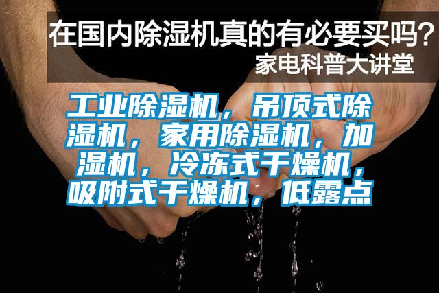 工业除湿机，吊顶式除湿机，家用除湿机，加湿机，冷冻式干燥机，吸附式干燥机，低露点