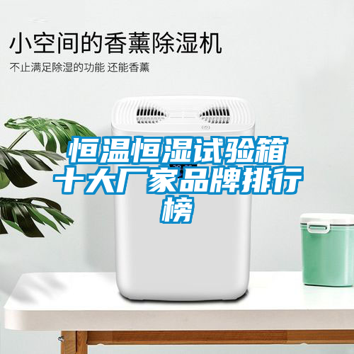 恒温恒湿试验箱十大厂家品牌排行榜