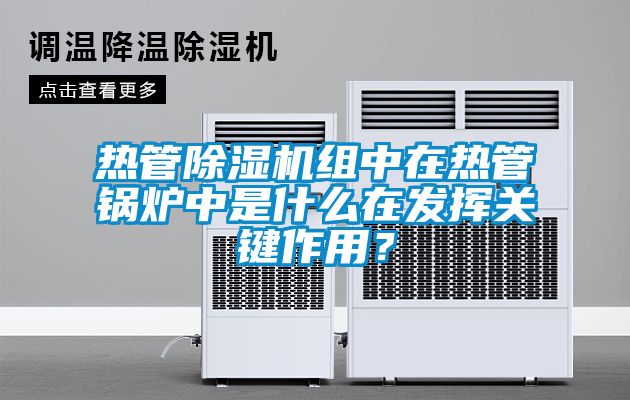 热管除湿机组中在热管锅炉中是什么在发挥关键作用？