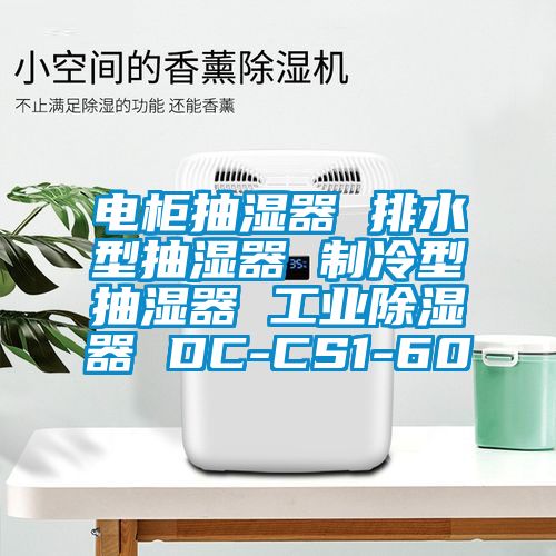 电柜抽湿器 排水型抽湿器 制冷型抽湿器 工业除湿器 DC-CS1-60