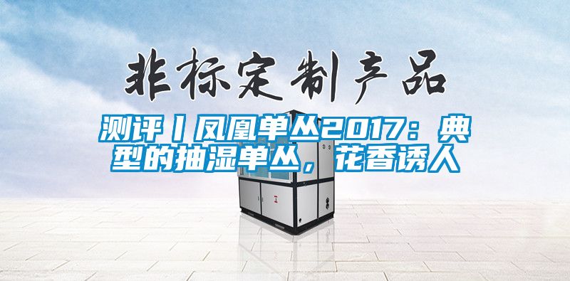 测评丨凤凰单丛2017：典型的抽湿单丛，花香诱人