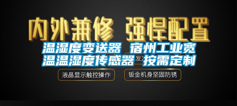 温湿度变送器 宿州工业宽温温湿度传感器 按需定制