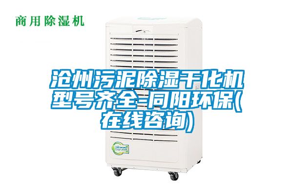 沧州污泥除湿干化机型号齐全-同阳环保(在线咨询)