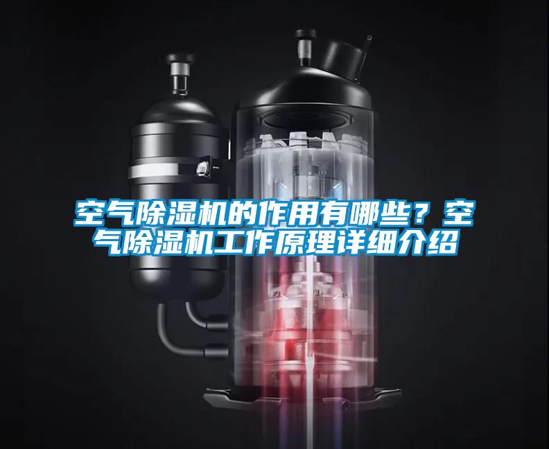 空气除湿机的作用有哪些？空气除湿机工作原理详细介绍