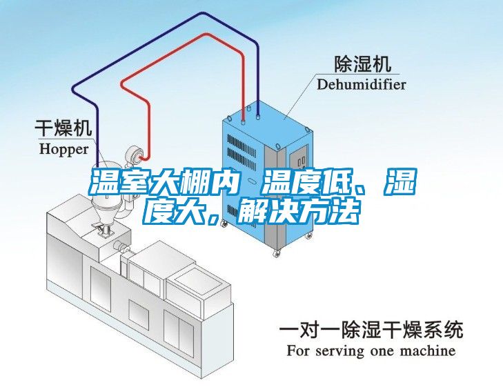 温室大棚内 温度低、湿度大，解决方法