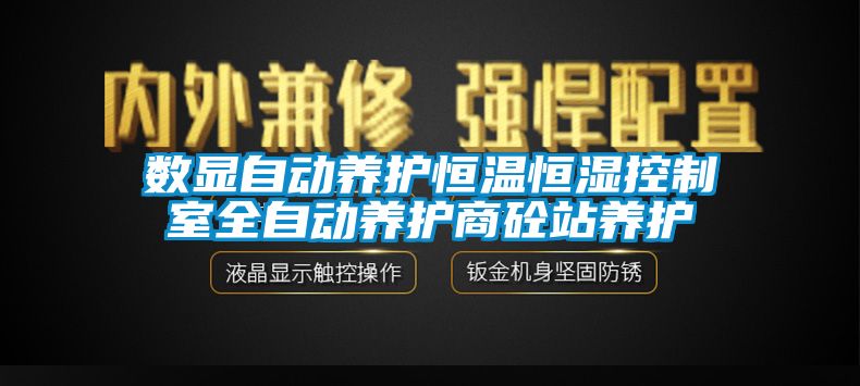 数显自动养护恒温恒湿控制室全自动养护商砼站养护