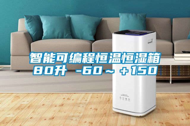 智能可编程恒温恒湿箱80升 -60～＋150℃