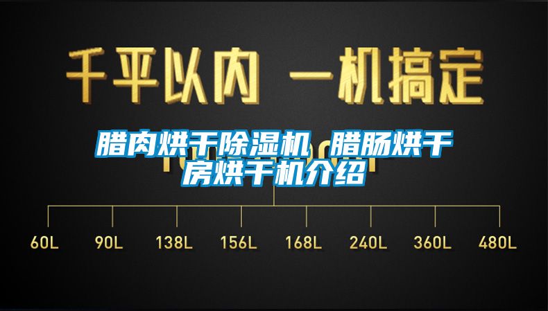 腊肉烘干除湿机 腊肠烘干房烘干机介绍