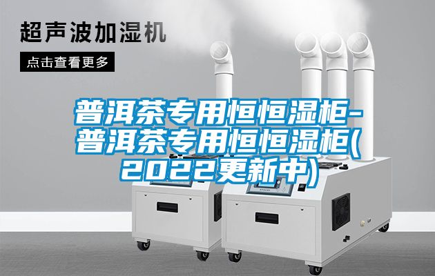 普洱茶专用恒恒湿柜-普洱茶专用恒恒湿柜(2022更新中)