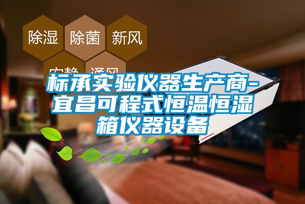 标承实验仪器生产商-宜昌可程式恒温恒湿箱仪器设备