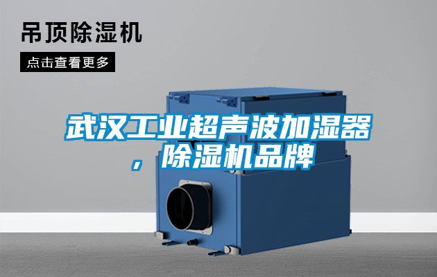 武汉工业超声波加湿器，除湿机品牌