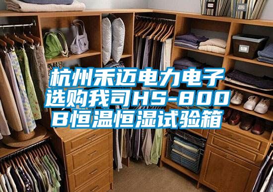 杭州禾迈电力电子选购我司HS-800B恒温恒湿试验箱