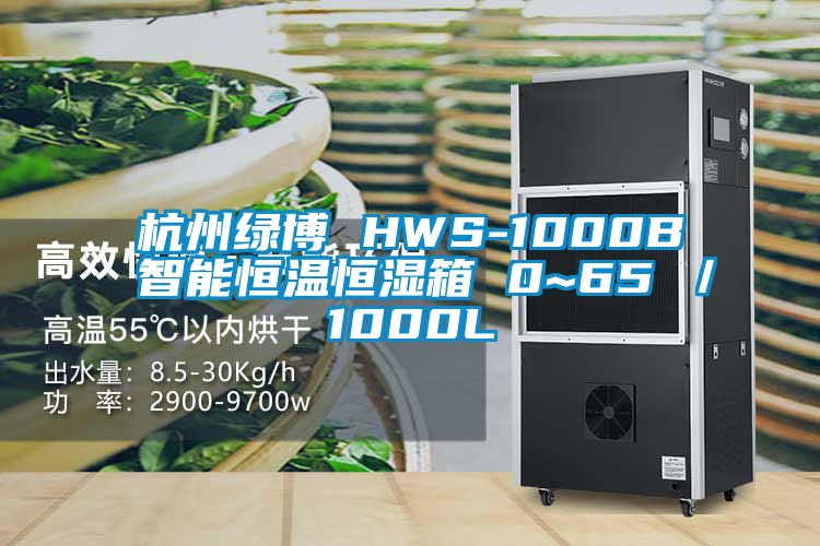 杭州绿博 HWS-1000B 智能恒温恒湿箱 0~65℃／1000L