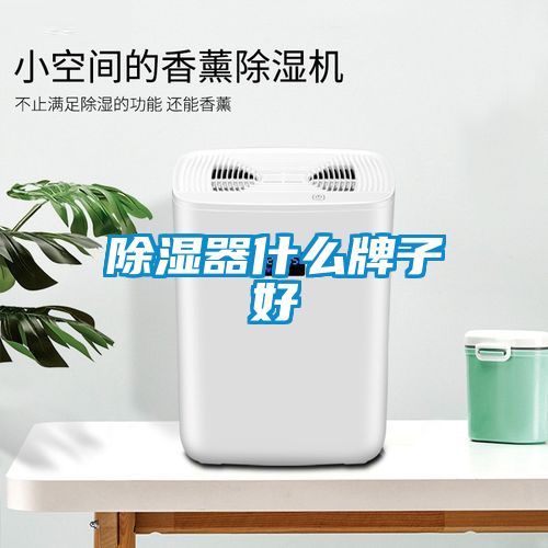 除湿器什么牌子好