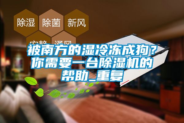 被南方的湿冷冻成狗？你需要一台除湿机的帮助_重复