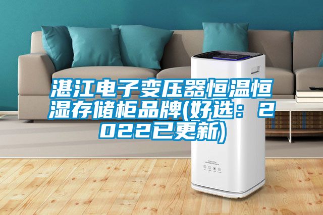 湛江电子变压器恒温恒湿存储柜品牌(好选：2022已更新)