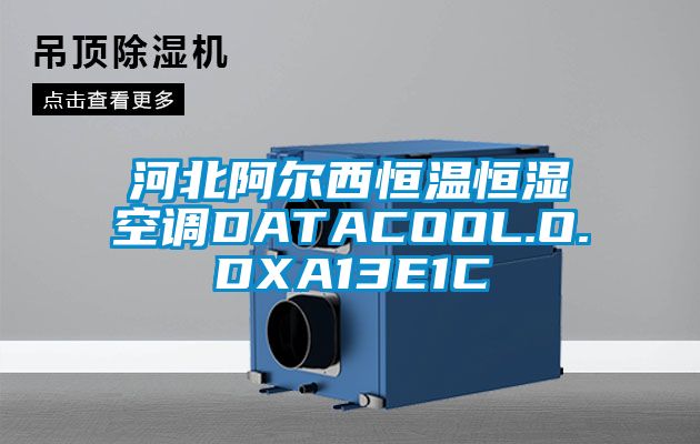 河北阿尔西恒温恒湿空调DATACOOL.O.DXA13E1C